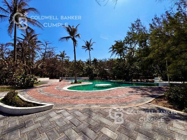 place photo 17