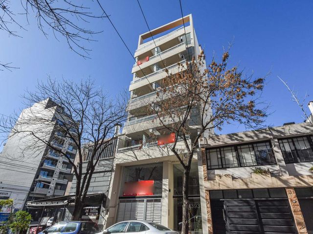 place photo 28