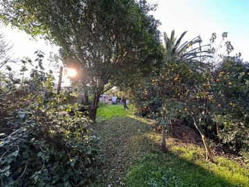 place photo 30