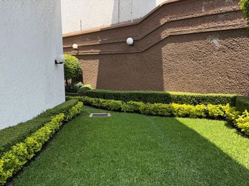 place photo 30