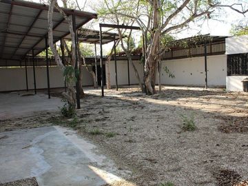 place photo 13