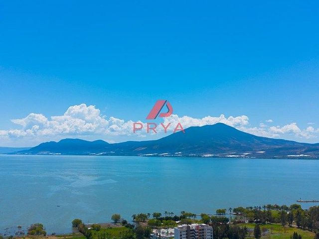 place photo 37