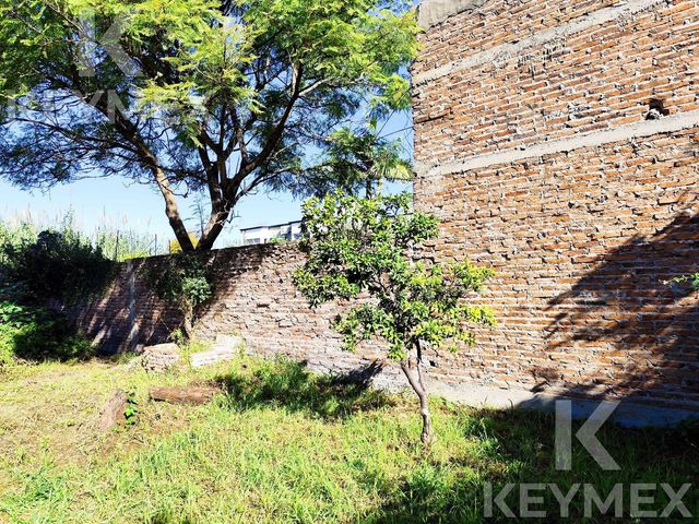 place photo 40