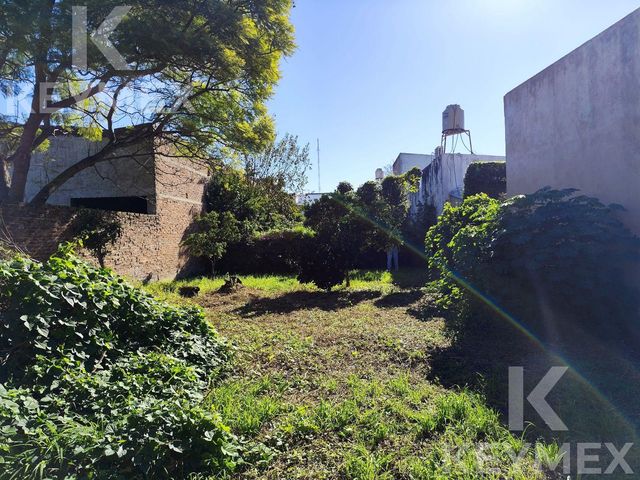 place photo 39
