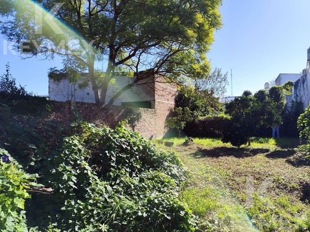 place photo 41