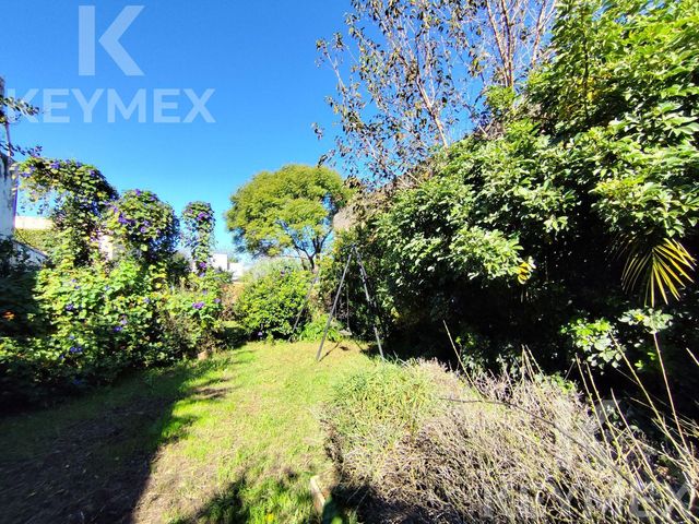 place photo 34