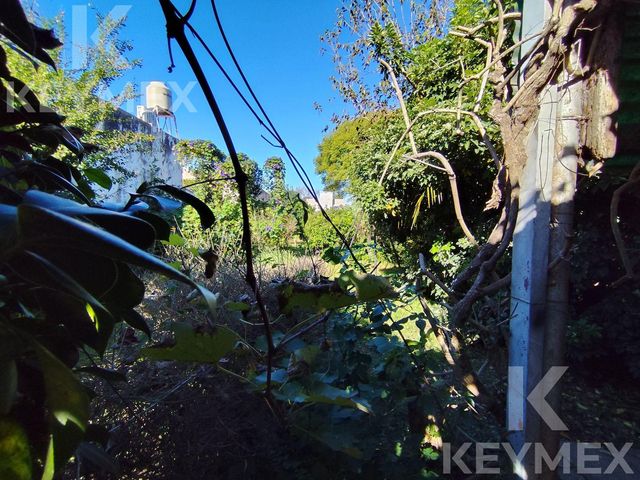 place photo 32