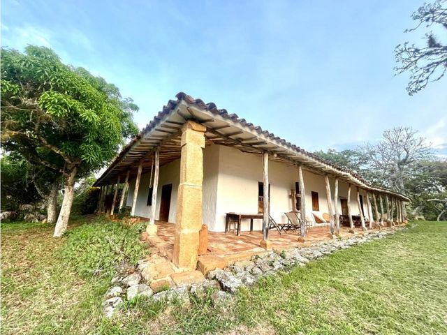 place photo 61