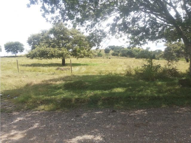 place photo 32
