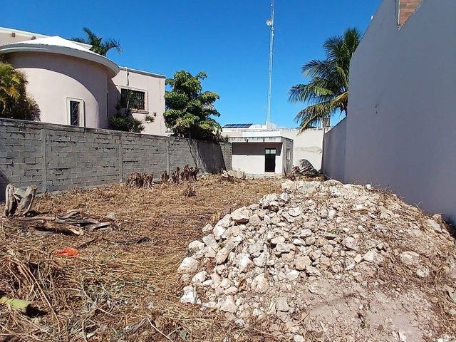 place photo 19