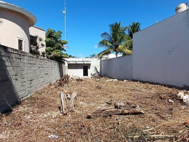 place photo 15