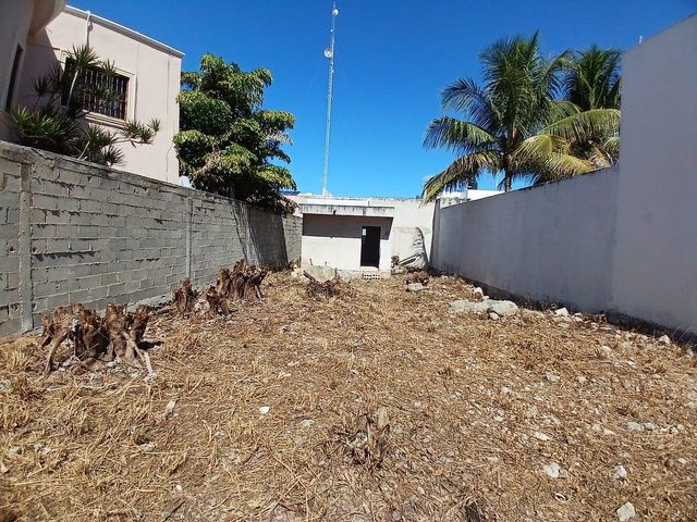 place photo 14
