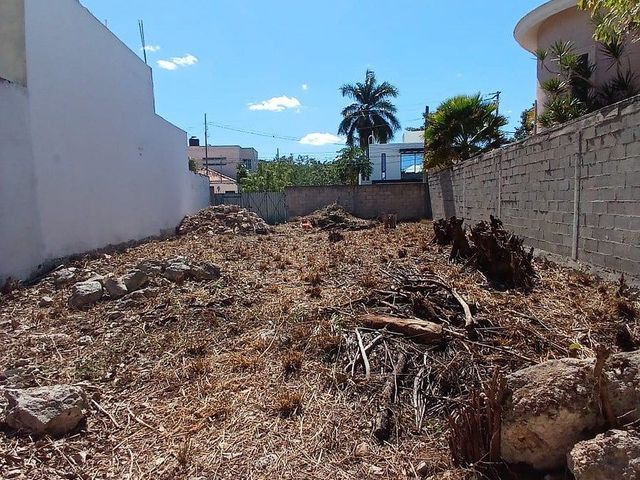 place photo 18