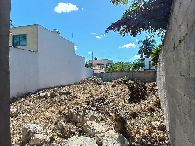 place photo 20