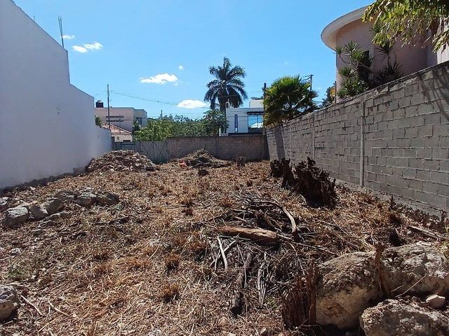 place photo 22