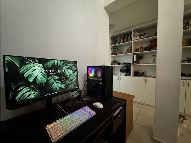 place photo 14