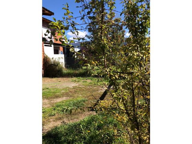 place photo 35