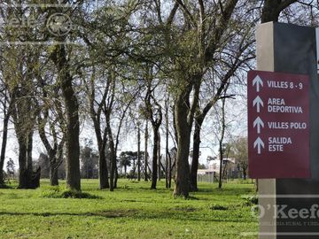 place photo 40