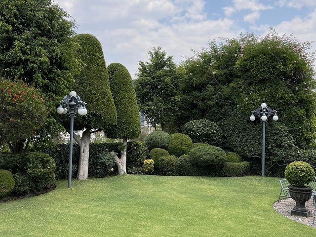 place photo 38