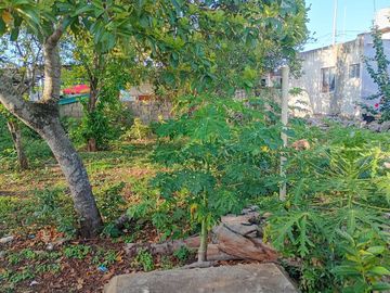 place photo 23