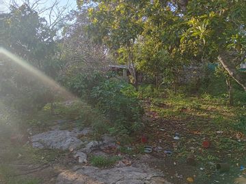 place photo 24