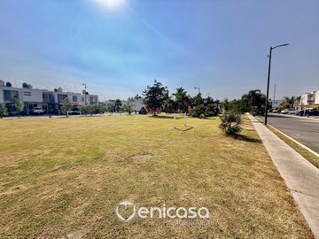 place photo 43