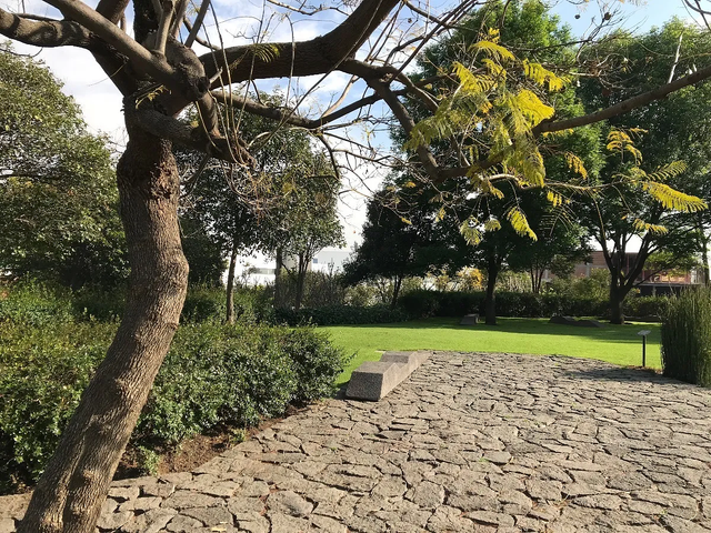 place photo 29