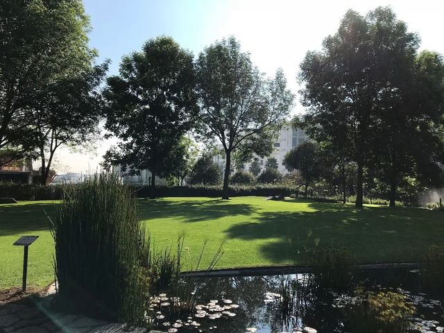 place photo 28