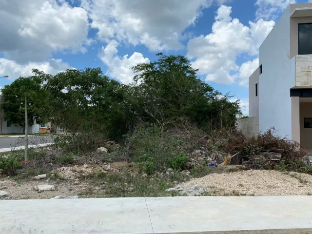 place photo 7