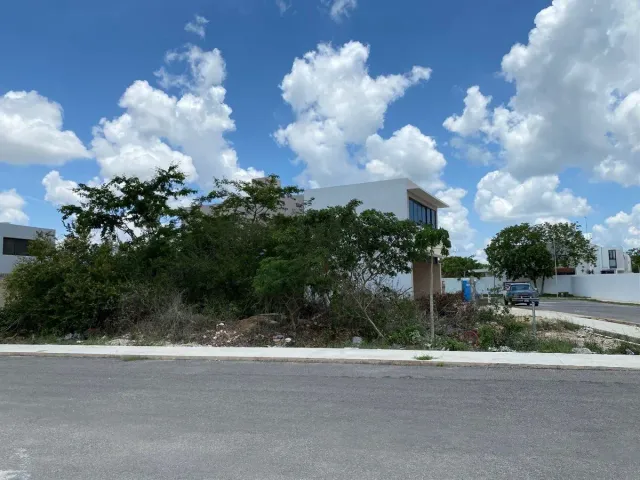 place photo 6