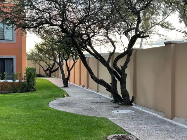 place photo 36
