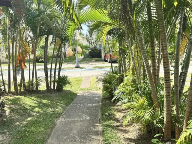 place photo 32