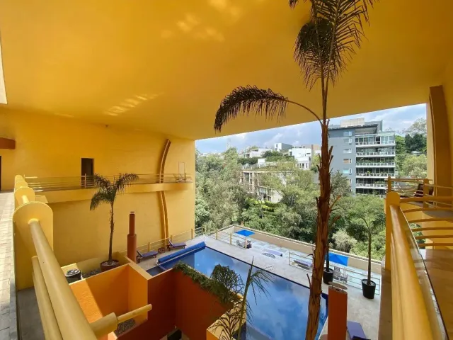 place photo 26
