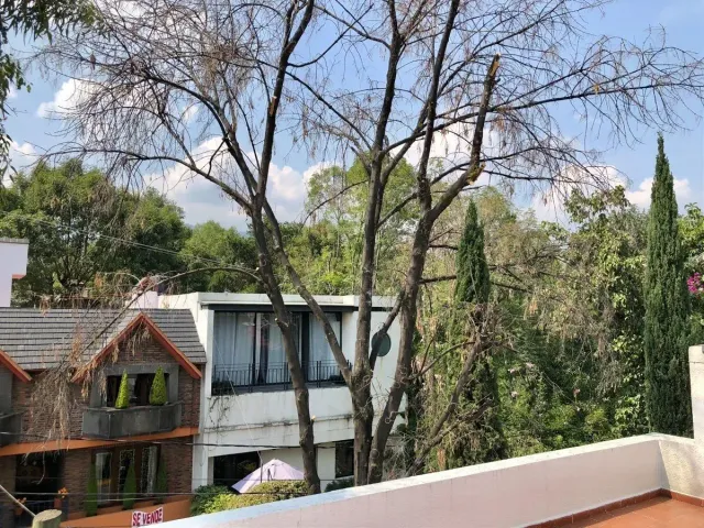 place photo 36