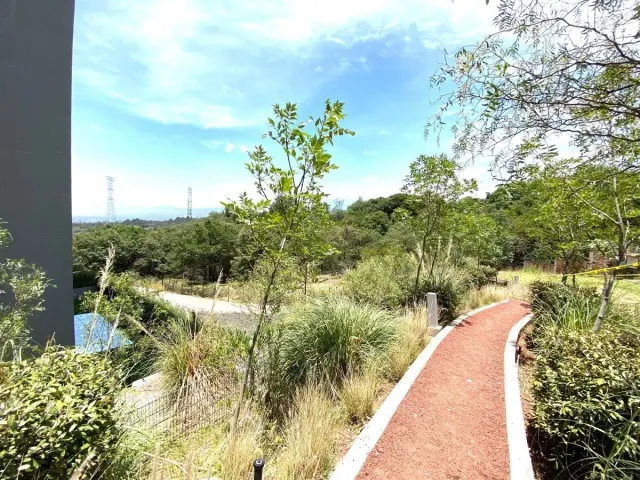 place photo 44