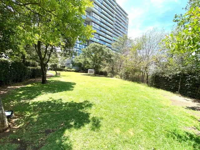 place photo 36