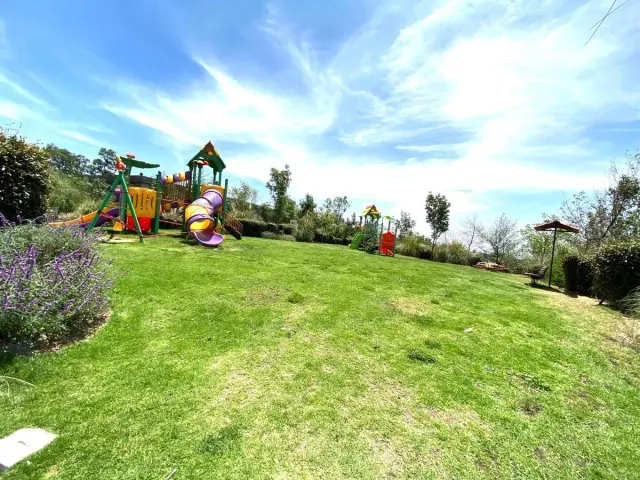 place photo 38