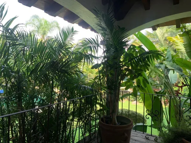 place photo 40