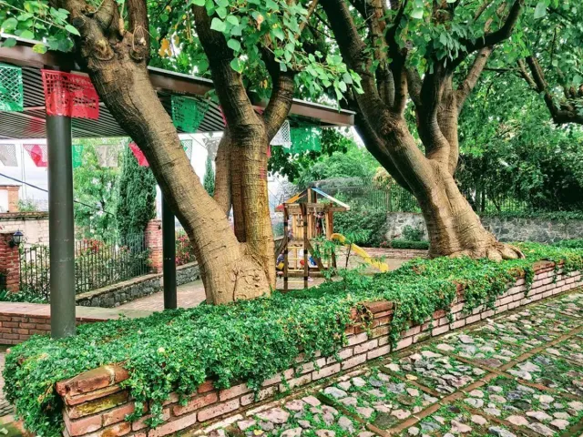 place photo 6