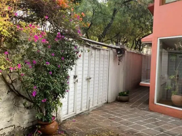 place photo 17
