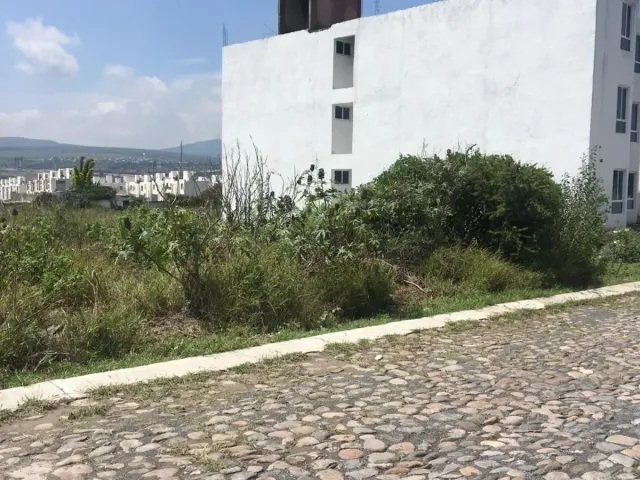 place photo 11