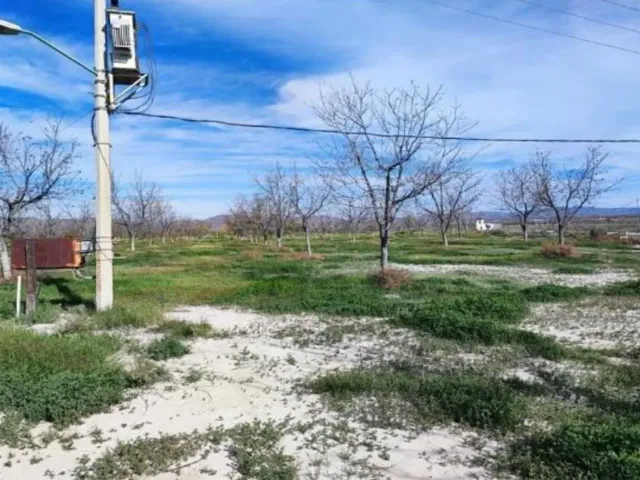 place photo 8