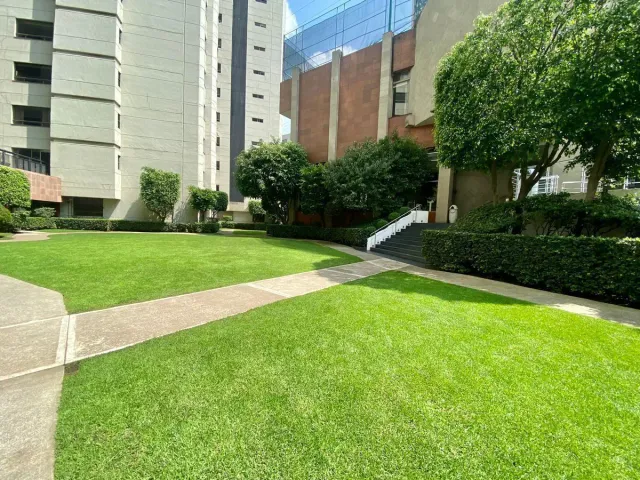 place photo 30