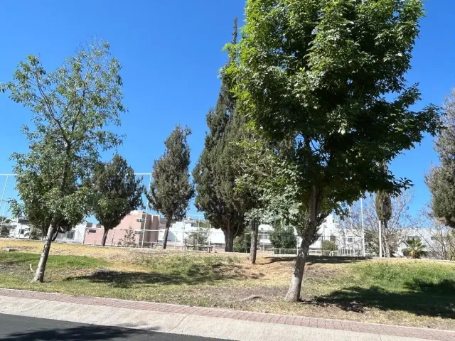 place photo 22