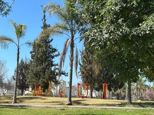 place photo 21