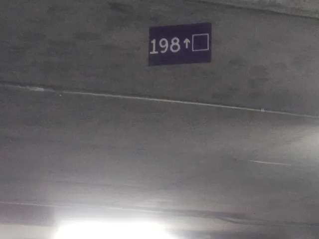 place photo 44