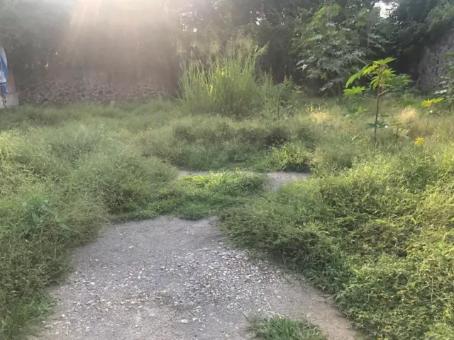 place photo 17