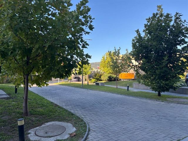 place photo 39