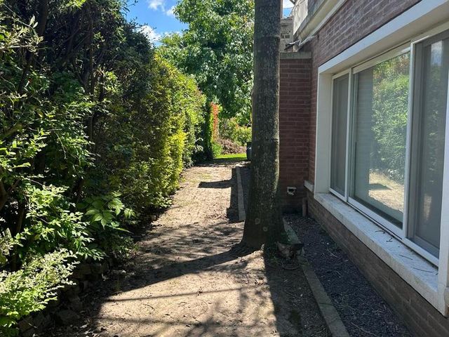place photo 24