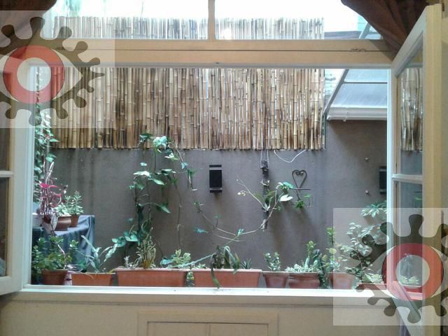 place photo 18